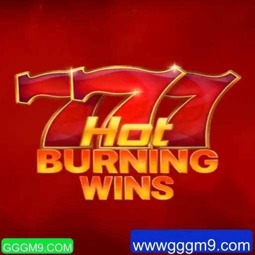 Explorando o Dinamismo de HotBurningWins: Uma Jornada Atualizada nos Cassinos Online